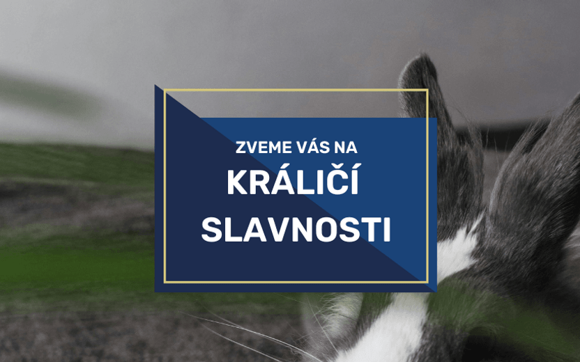 Králičí slavnosti 12.10.2024