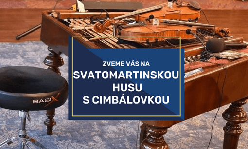 Svatomartinská husa (5).png